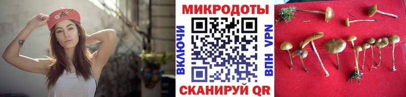 Галлюциногенные грибы мицелий Купить Анадырь